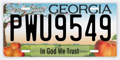 GA license plate PWU9549