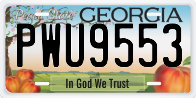 GA license plate PWU9553