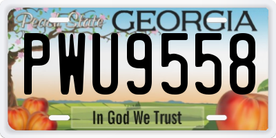 GA license plate PWU9558