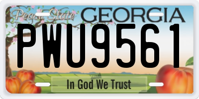 GA license plate PWU9561