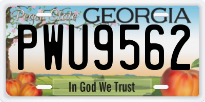 GA license plate PWU9562