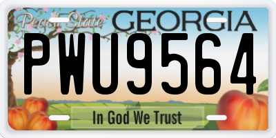 GA license plate PWU9564