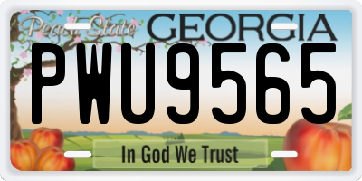 GA license plate PWU9565