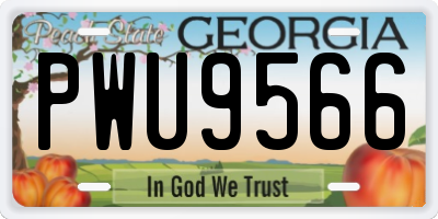 GA license plate PWU9566