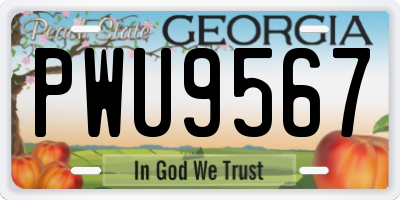 GA license plate PWU9567