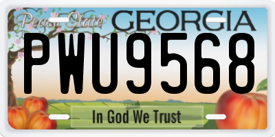 GA license plate PWU9568