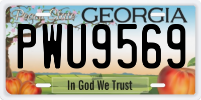 GA license plate PWU9569