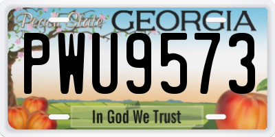 GA license plate PWU9573