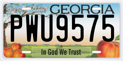 GA license plate PWU9575
