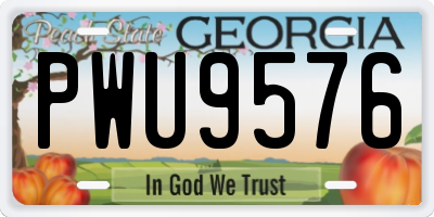 GA license plate PWU9576