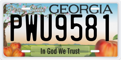 GA license plate PWU9581
