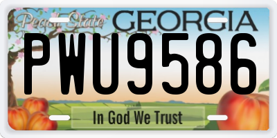 GA license plate PWU9586