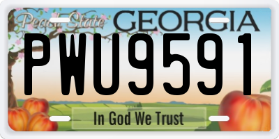 GA license plate PWU9591