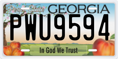 GA license plate PWU9594