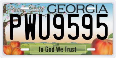 GA license plate PWU9595