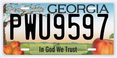 GA license plate PWU9597