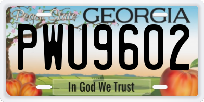 GA license plate PWU9602