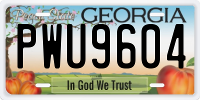 GA license plate PWU9604