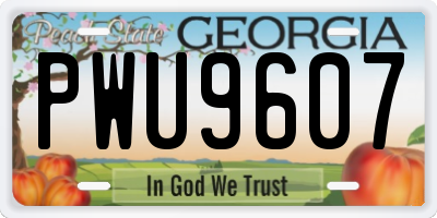 GA license plate PWU9607