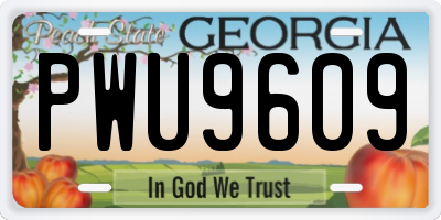 GA license plate PWU9609