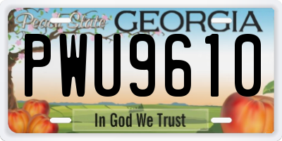 GA license plate PWU9610