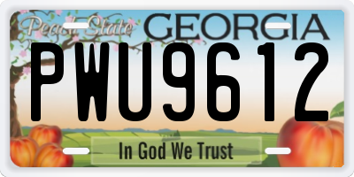 GA license plate PWU9612