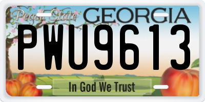 GA license plate PWU9613