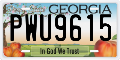 GA license plate PWU9615
