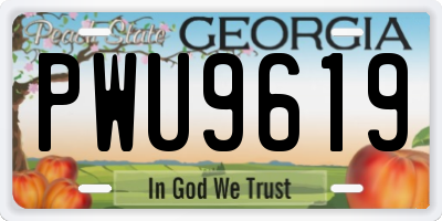 GA license plate PWU9619