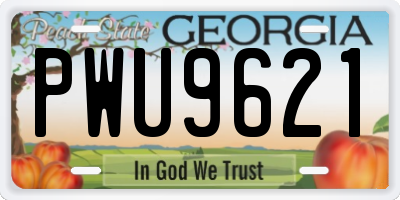 GA license plate PWU9621