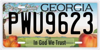 GA license plate PWU9623