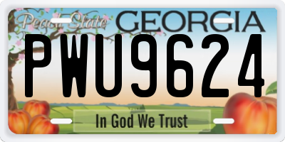 GA license plate PWU9624