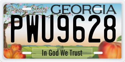 GA license plate PWU9628