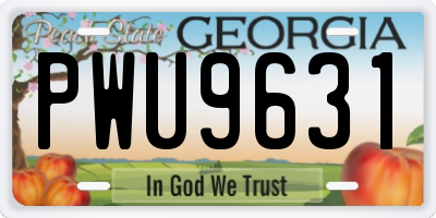 GA license plate PWU9631