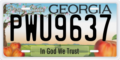 GA license plate PWU9637