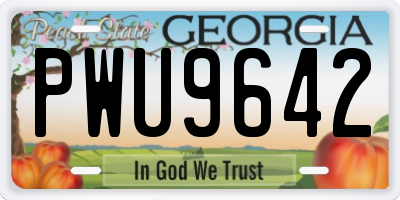 GA license plate PWU9642