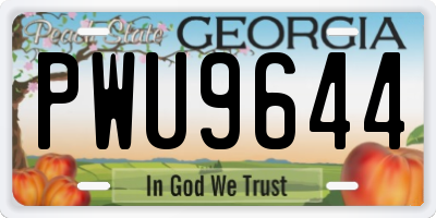 GA license plate PWU9644