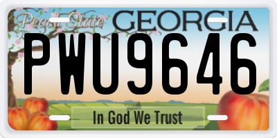 GA license plate PWU9646
