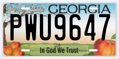 GA license plate PWU9647