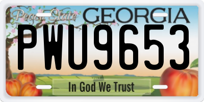 GA license plate PWU9653