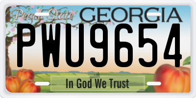 GA license plate PWU9654