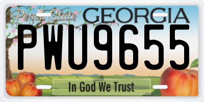 GA license plate PWU9655