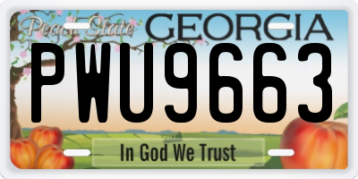 GA license plate PWU9663
