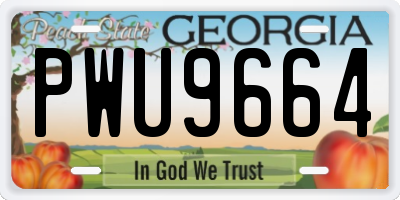 GA license plate PWU9664