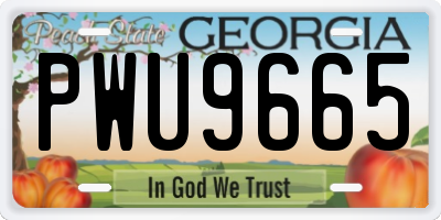 GA license plate PWU9665