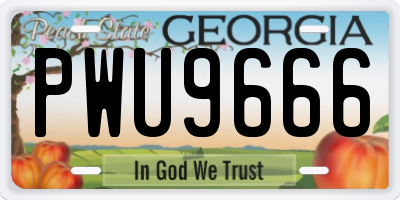 GA license plate PWU9666