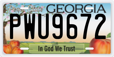 GA license plate PWU9672
