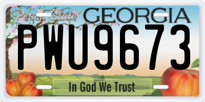 GA license plate PWU9673