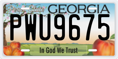 GA license plate PWU9675