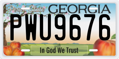GA license plate PWU9676